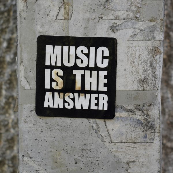 A sign that says music is the answer posted on a tree
