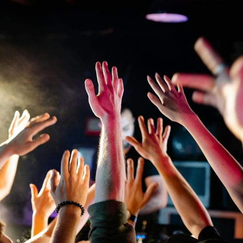 Hands in the air enjoying music at a concert event